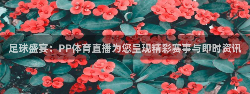 飞球直播app下载
